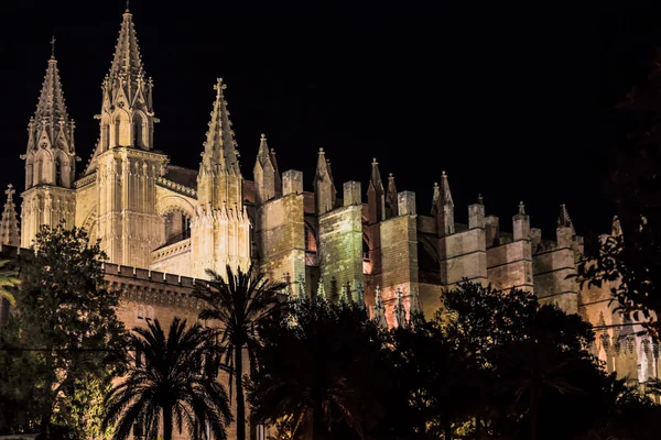 Kathedrale von Palma de mallorca la seu Nacht Ansicht — Stockfoto