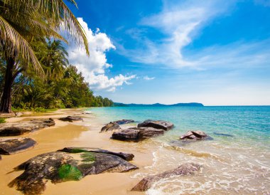 Güzel sahil ve tropikal deniz 