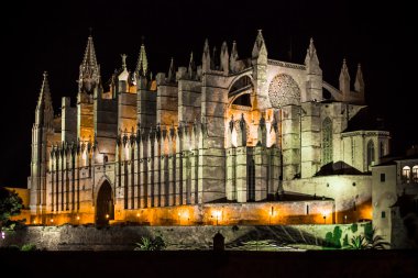 Palma de Mallorca Katedrali Gece Görüşü 