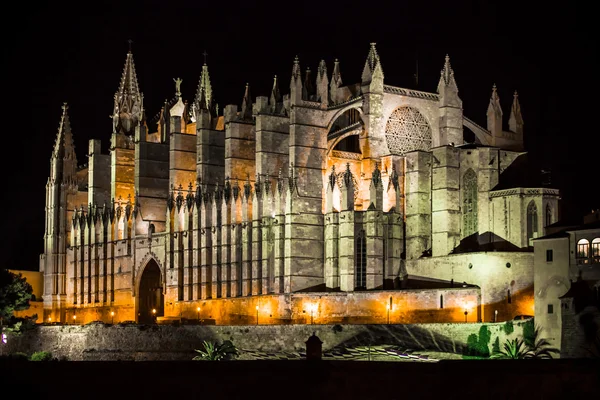 Kathedraal van palma de mallorca la seu nachtzicht — Stockfoto