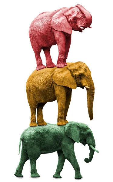 Three elephants — Stock Photo, Image