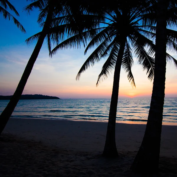 Spiaggia tropicale — Foto Stock