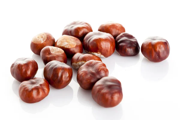 Chestnut on white background — Stock Photo, Image