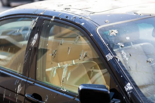 Excrementos de aves en el coche — Foto de Stock