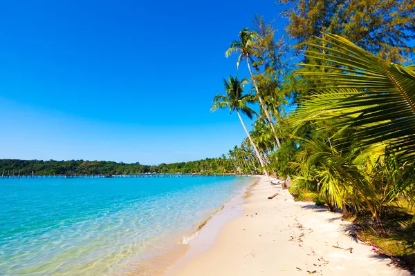 Beautiful beach and tropical sea — Stock Photo, Image