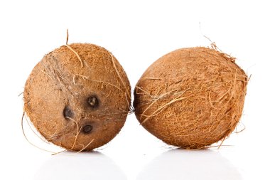 Hindistan cevizi beyaza izole edilmiş. 