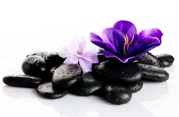 Zwarte massage stenen geïsoleerd — Stockfoto