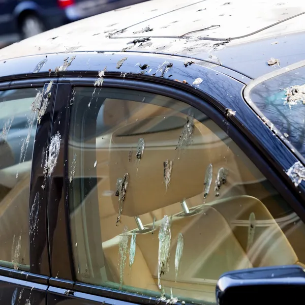 Excrementos de aves en el coche — Foto de Stock