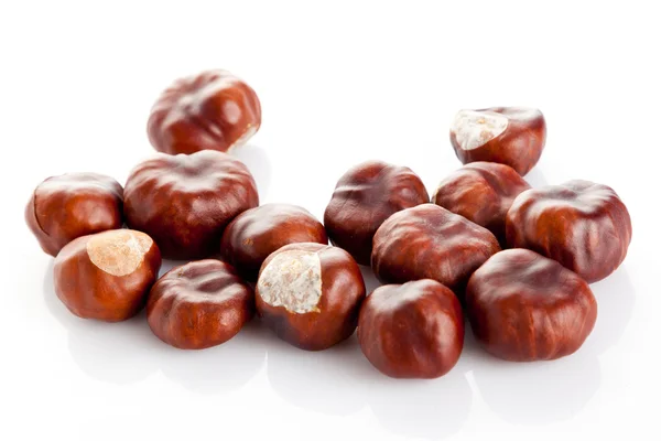 Chestnut on white background — Stock Photo, Image