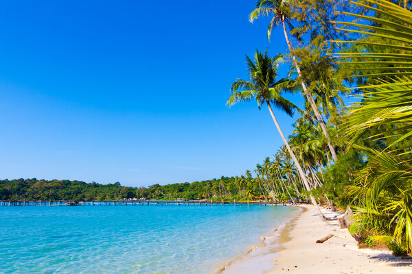 beautiful beach and tropical sea 