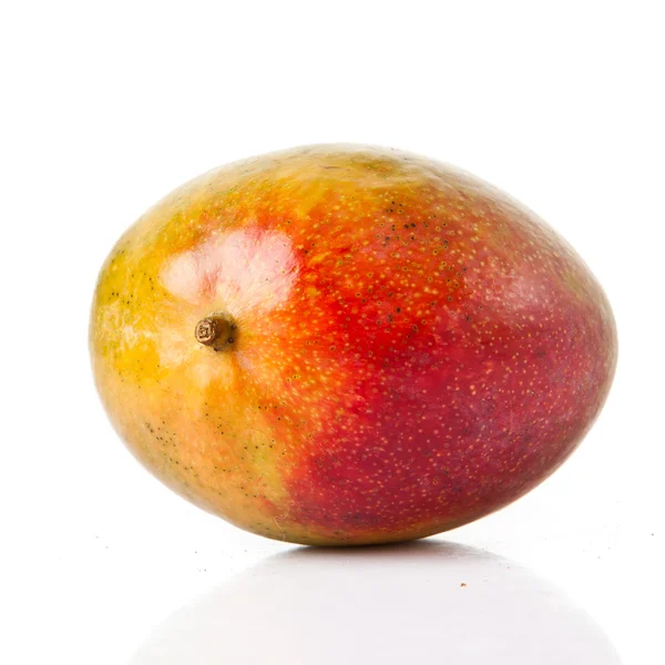 Mango απομονωμένο σε λευκό φόντο — Φωτογραφία Αρχείου