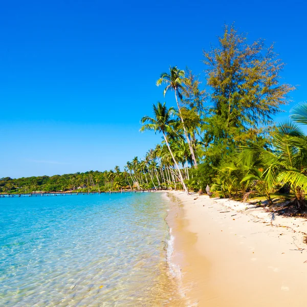 Mooi strand en tropische zee — Stockfoto