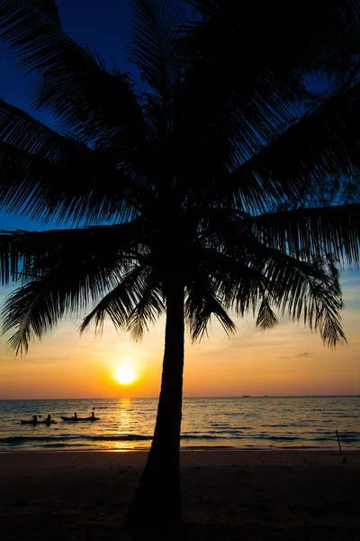 Pláž s palmami — Stock fotografie
