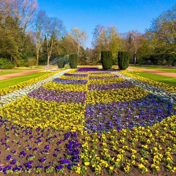 Paisagem de primavera. belo jardim — Fotografia de Stock