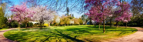 Panoramic view of a park — Stock Photo, Image