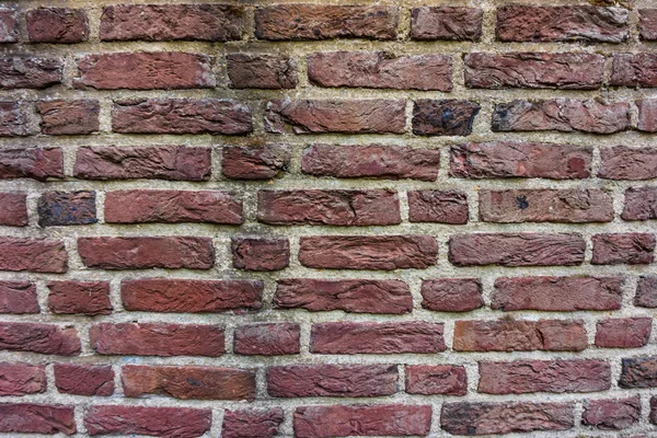 Bakstenen muur — Stockfoto