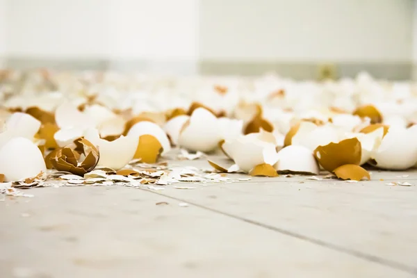 Eggshell — Stock Photo, Image