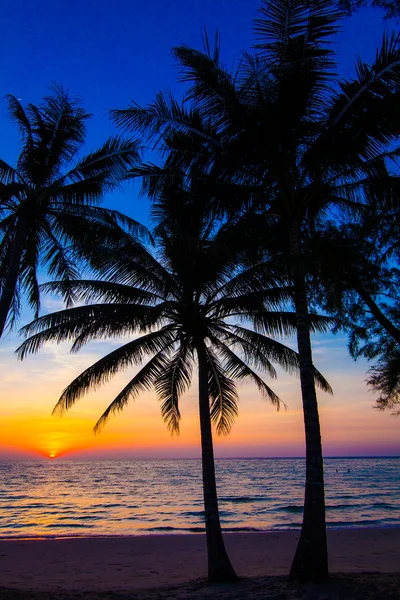 Belo pôr do sol em um resort de praia em trópicos — Fotografia de Stock