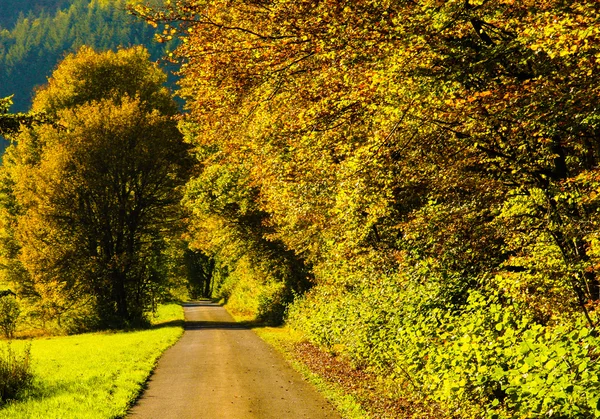 Autumn landscape — Stock Photo, Image