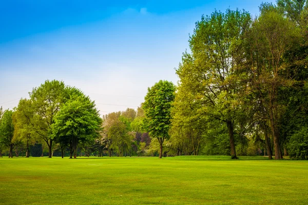 Gröna landskapet — Stockfoto