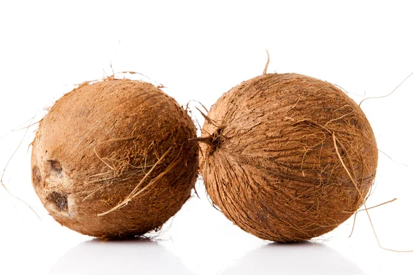 Bruin kokosnoten — Stockfoto