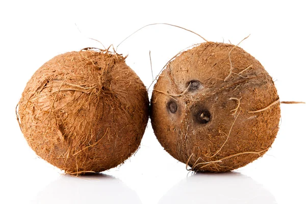 Kokosnoot geïsoleerd op wit. — Stockfoto