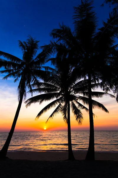 Solnedgång på stranden. — Stockfoto