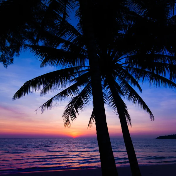 Solnedgång på stranden. — Stockfoto