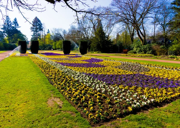 Canteiro de flores jardim — Fotografia de Stock