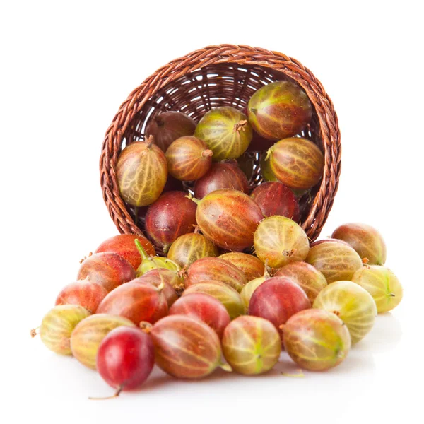 Green and red gooseberries — Stock Photo, Image