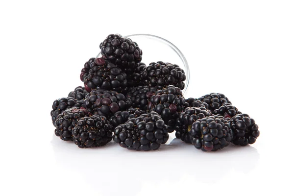 Ripe blackberries — Stock Photo, Image