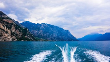 kertenkele iguana çölde