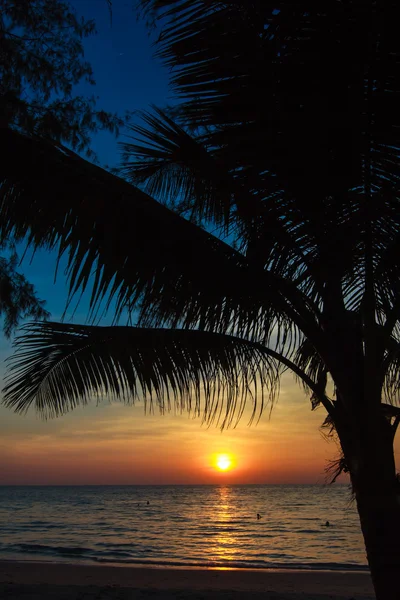 Sunset tropical beach — Stock Photo, Image