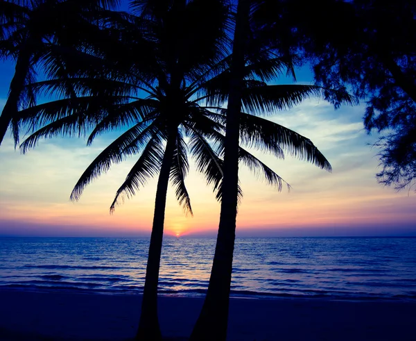 Por do sol praia tropical — Fotografia de Stock