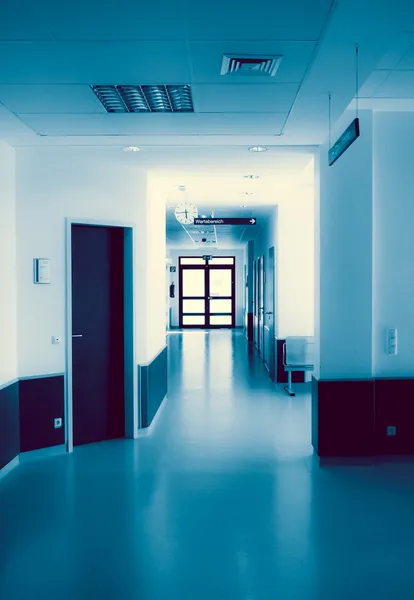 병원 의 콘도르 — 스톡 사진