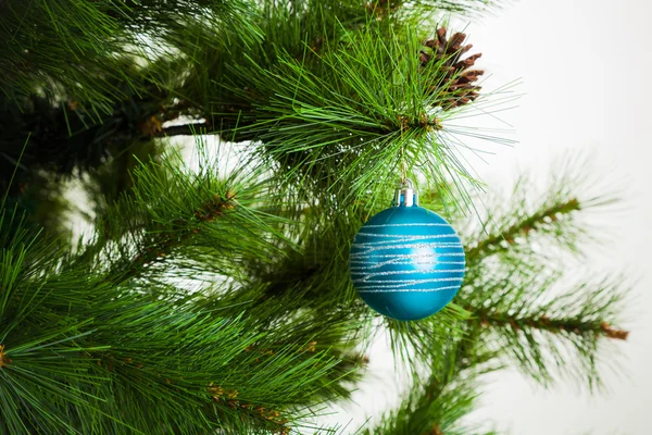 Christmas tree branch with ball — Stock Photo, Image