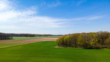 Tarım alanlarının havadan görünüşü. Yukarıdan alanlar 
