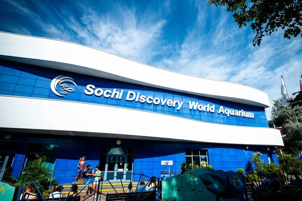 Sochi Rússia Junho 2019 Sochi Discovery World Aquarium Uma Das — Fotografia de Stock