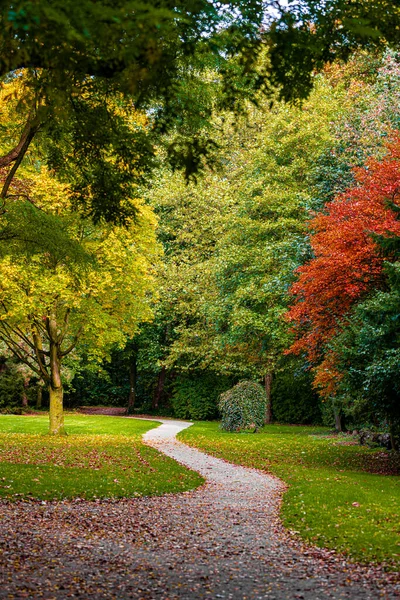 Outono Queda Paisagem Árvore Com Folhas Coloridas — Fotografia de Stock