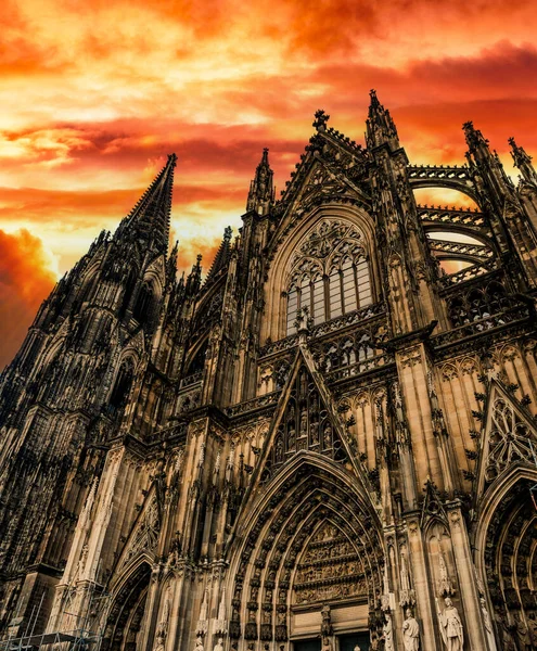 Tyskland Köln Mot Kölnkatedralen Underifrån Vid Solnedgången — Stockfoto