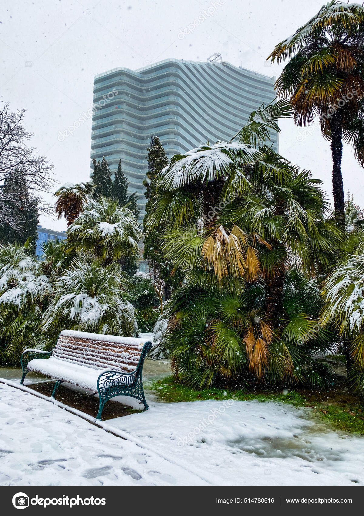 Palmeiras na neve