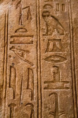 Eski Mısır hiyeroglifleri taşın üzerine kazınmış. 