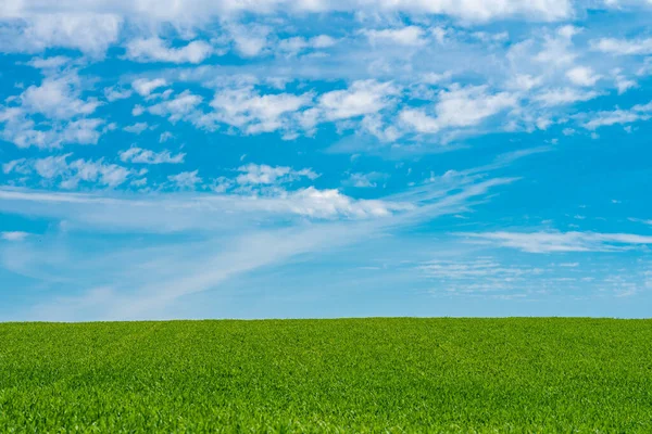 蓝天蓝云背景的绿色草地 — 图库照片
