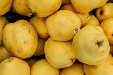 Olgunlaşmış ayvaları kutularda toplayın 