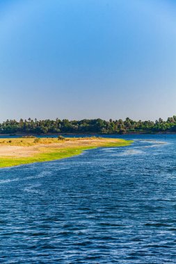 Mısır 'da Nil Nehri. Nil Nehri 'nde Yaşam