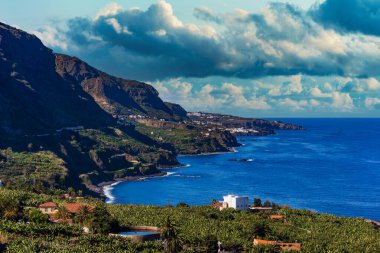 Tenerife sahil. Tenerife siyah beach