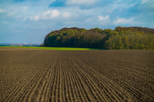Landbouwconcept Landschap Met Landbouwgrond — Stockfoto