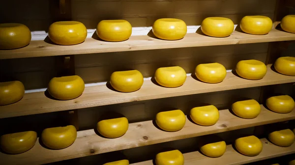 Cheese shop display. Farmer cheese. Cheese wheels in store