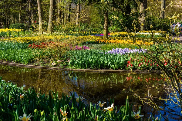 Kleurrijk Tuinlandschap Grasveld — Stockfoto