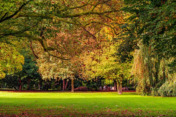 Jesień Jesień Krajobraz Drzewo Kolorowych Liści — Zdjęcie stockowe